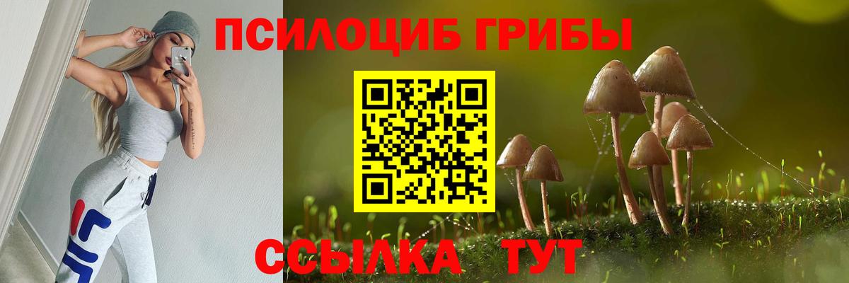 Галлюциногенные грибы мухоморы Кисловодск