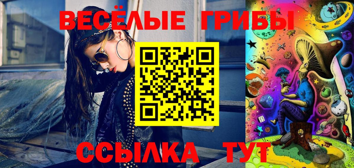 Галлюциногенные грибы MAGIC MUSHROOMS  купить наркотик  Кисловодск  Вход с VPN 